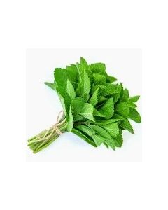 MINT LEAVES(5KG)